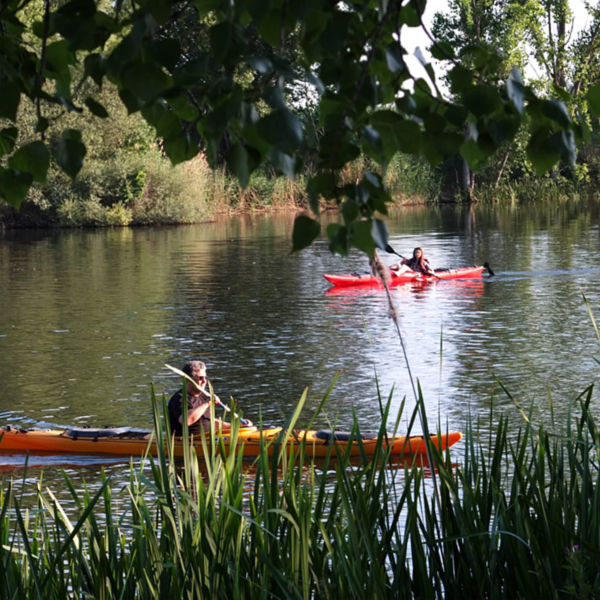 Salamanca 24 - Gañafote Cup