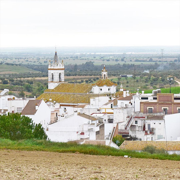 Bonares 5 - Gañafote Cup