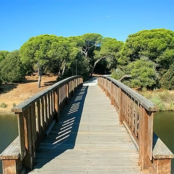 Cartaya 11 - Gañafote Cup