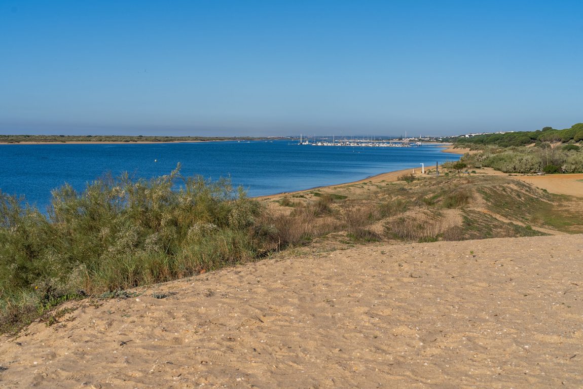NuevoPortil-dunas-00016