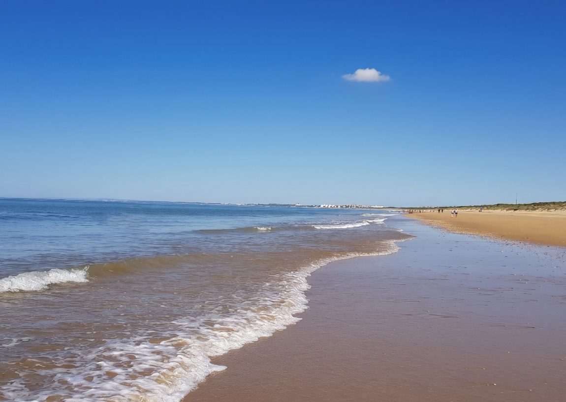 portada_punta_04